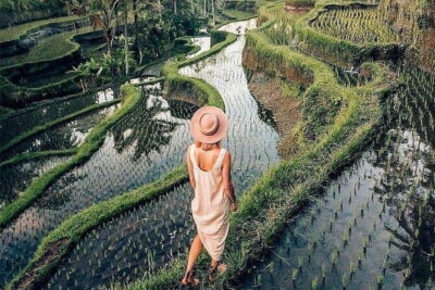 Ubud Highlights -Private Tour,Temples, Waterfalls & Rice terraces - Seminyak Pickup and Private Car Comfort