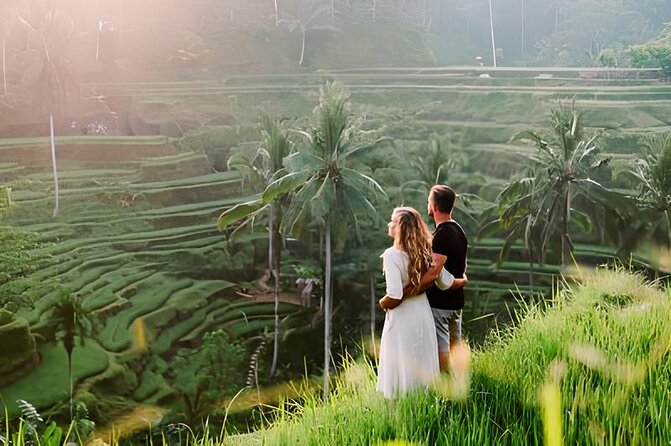 Ubud Highlights Rice Terraces, Temple, Waterfall & Monkeys forest - Why This Private Ubud Highlights Day Works Better Than DIY