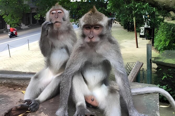 Ubud Highlights Rice Terraces, Temple, Waterfall & Monkeys forest - Tegenungan Waterfall: Bring Towel and Spare Clothes