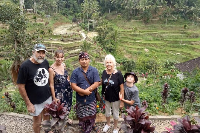Ubud Hot Springs and Waterfall Private Guided Tour - Tirta Empul and the Elephant Cave pass-by: temple energy, water, and context