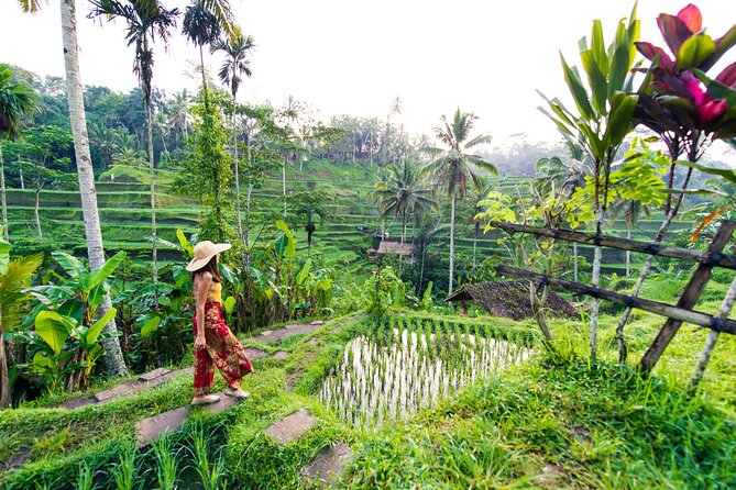 Ubud Iconic Full Day Tour Monkey Forest Rice Terraces Waterfalls - Key things to know before you go