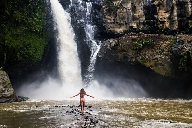 Ubud Iconic Full Day Tour Monkey Forest Rice Terraces Waterfalls - A one-day Ubud hit list that makes sense
