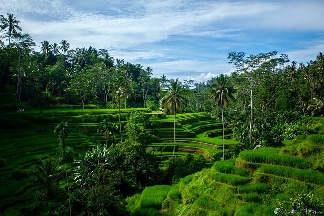 Ubud Monkey Forest - Rice Terrace - Jungle Swing - Water Temple - Stop 4: Tirta Empul Temple and Its Holy Water Rules