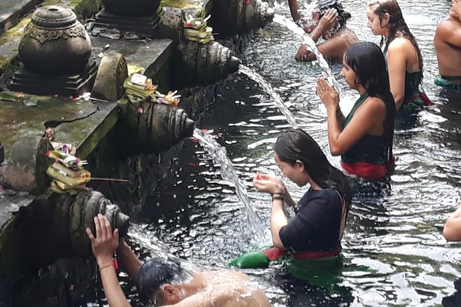 Ubud Natural Gems And Secret Waterfall Private Guided Tour - The one cost wrinkle: entrance tickets vs. what you might pay