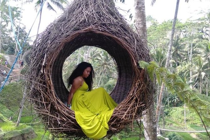 Ubud Natural Gems And Secret Waterfall Private Guided Tour - Who this tour suits best