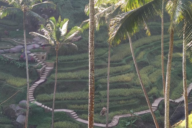 Ubud Private & Customize Day Tour - Ubud at 6:00 am: why start so early?
