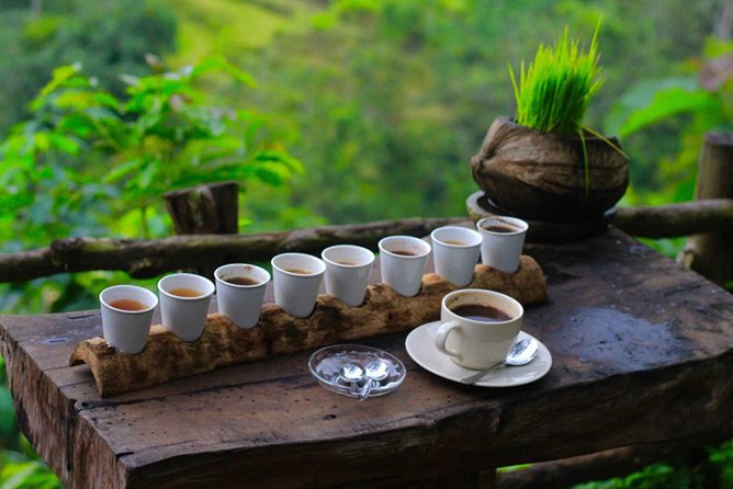 Ubud Private & Customize Day Tour - Tegallalang rice terraces: photos, viewpoints, and timing
