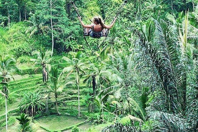 Ubud Private Tour - Private Ubud pickup and the value of one vehicle for the whole day