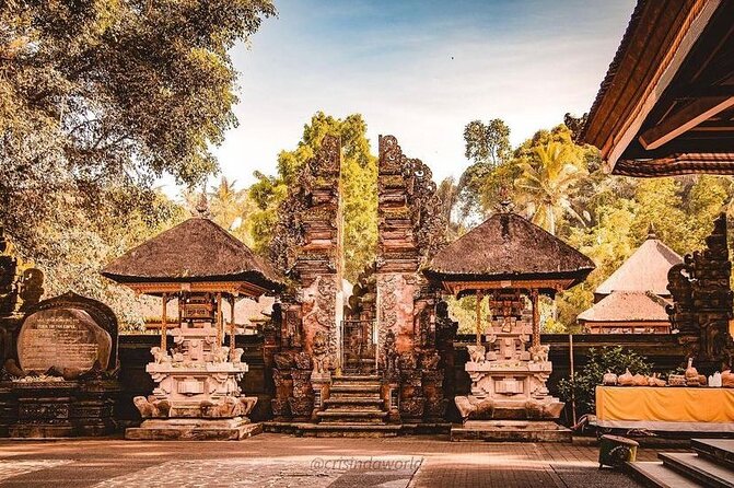 Ubud Private Tour - Pakudui Village rice terraces for calmer views and quick photo time