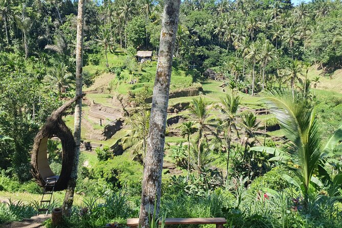 Ubud Private Tour - Gunung Kawi Sebatu Temple and the Sebatu holy water spring