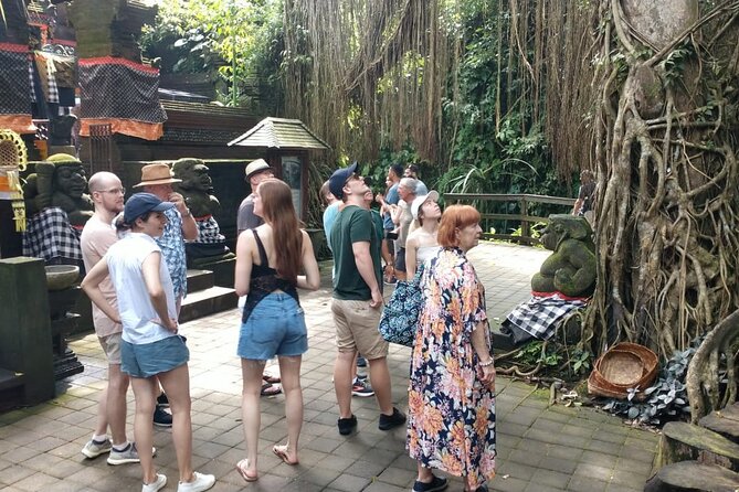 Ubud Private Tour - Price and logistics: does $100 per person make sense?