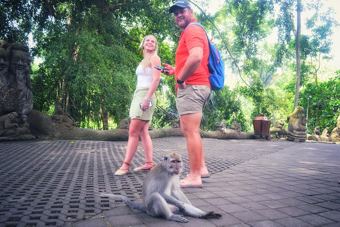 Ubud Private Tour : Choice Your Own Trip - Who should book this Ubud Private Tour?