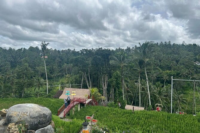 Ubud Private Tour From Cruise Port Benoa Bali All Inclusive - Price and Value: What $37.50 Really Buys You