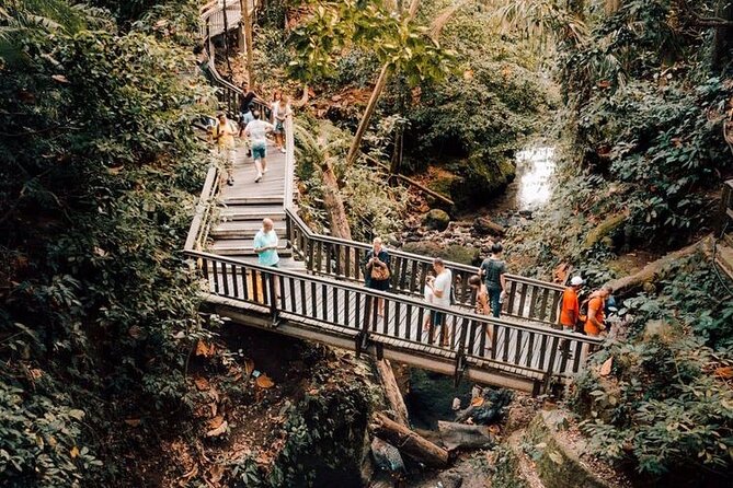 Ubud Private Tour: Monkey Forest, Rice Terrace, Temple, Waterfall - Entering the Sacred Monkey Forest Sanctuary