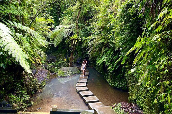 Ubud Private Tour: Monkey Forest, Rice Terrace, Temple, Waterfall - Lunch at Tebasari Resto, Bar & Lounge: Bamboo Views Included