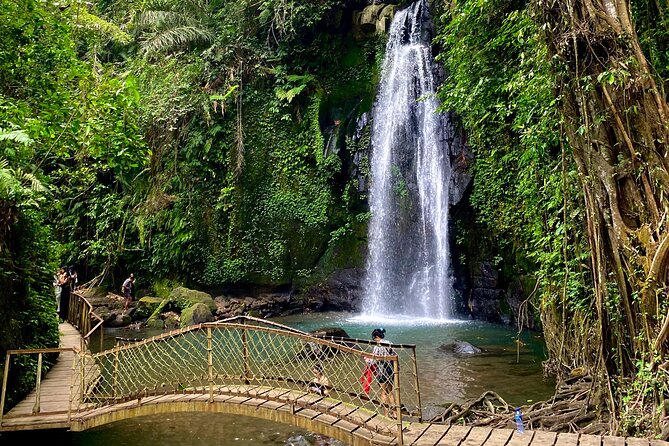 Ubud Private Tour: Monkey Forest, Rice Terrace, Temple, Waterfall - Ulu Petanu Waterfall: Photo Stop That Lets You Get In the Water