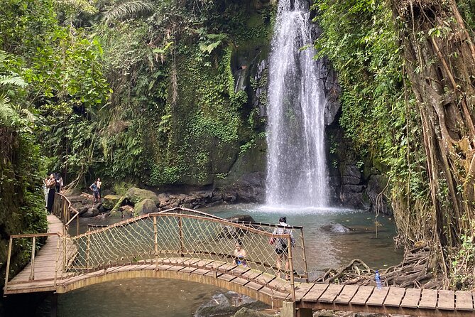 Ubud Private Tour: Monkey Forest, Rice Terrace, Temple, Waterfall - Price and Entrance Fees: The Real Value Check