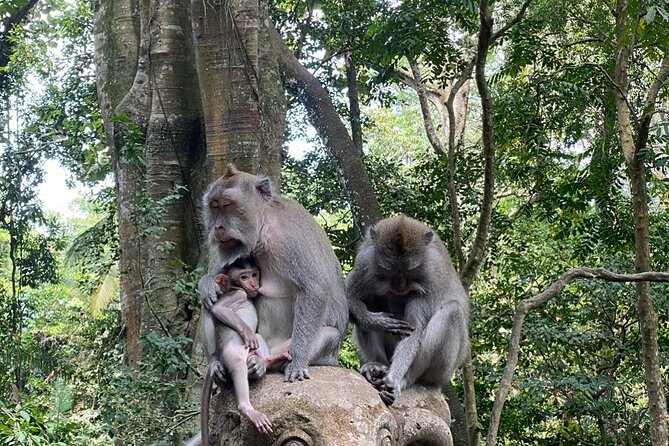 Ubud Private Tour: Monkey Forest, Rice Terrace, Temple, Waterfall - Tegalalang Rice Terraces: The Classic View, With Time to Enjoy It