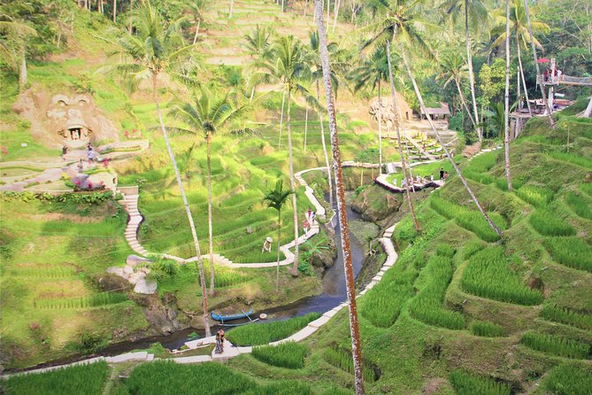 Ubud Private Tour : Ubud Temple and Authentic of Ubud - Tegalalang Rice Terraces: subak irrigation systems and viewpoint time