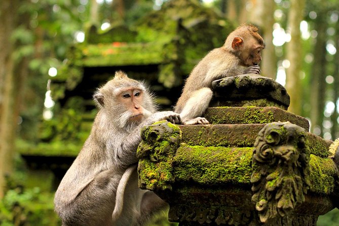 Ubud Sacred Monkey Forest & Art Village Tour - What 4 hours buys you: a half-day art and monkey route