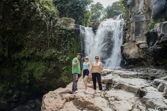 Ubud Small Group Tour: Monkey Forest, Tegalalang Rice Terraces and more - Ubud greatest-hits in one long day