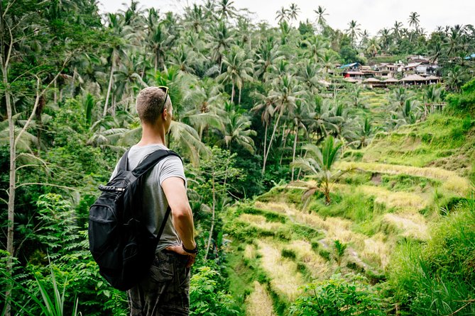 Ubud Small Group Tour: Monkey Forest, Tegalalang Rice Terraces and more - Tegalalang Rice Terraces: short visit, big payoff