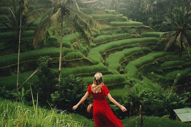 Ubud: Swing - Monkey Forest - Waterfall - Temple - Rice Terraces - Art Crafts - Pickup From Kuta and Other Areas: Comfort, Air-Conditioning, and Real Timing