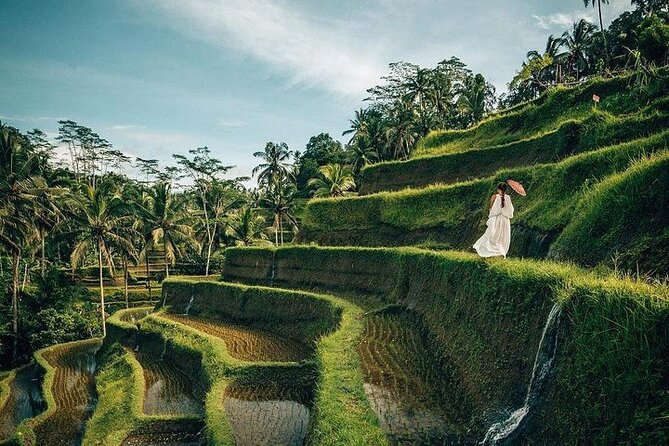 Ubud: Swing - Monkey Forest - Waterfall - Temple - Rice Terraces - Art Crafts - Tegallalang Rice Terraces: Walking the Green Steps and Reading the Landscape