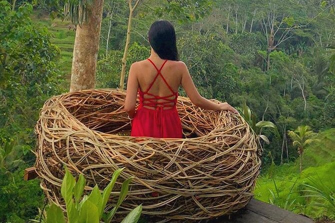 Ubud: Swing - Monkey Forest - Waterfall - Temple - Rice Terraces - Art Crafts - Sacred Monkey Forest Sanctuary: Getting Close While Staying Respectful