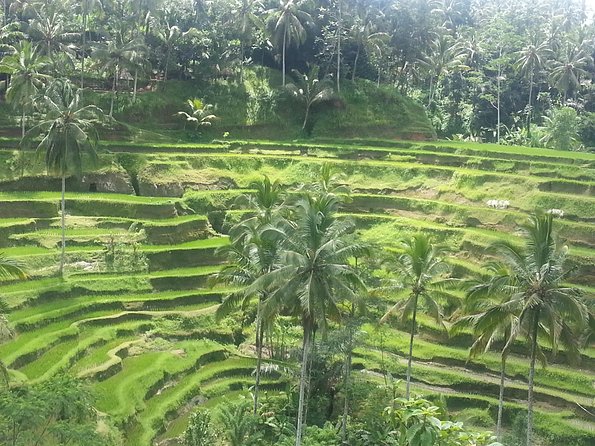 Ubud Tegalalang Rice Teracce & Tanah Lot Tour - Legong Fine Art of Batik: A Quick Art Stop With Real Buying Power
