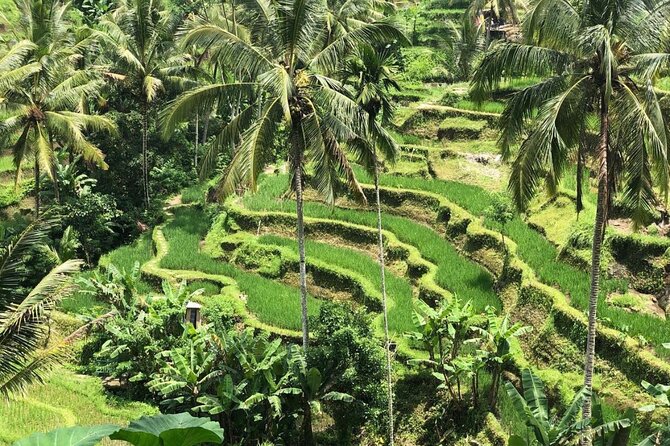 Ubud Temples, Waterfalls, Rice Terraces & Balinese Culture - Tukad Cepung Waterfall: Jungle Waterfall Photos and a Possible Swim