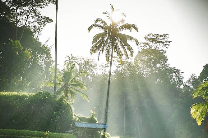 Ubud Temples, Waterfalls, Rice Terraces & Balinese Culture - Temples and Balinese Culture Between Nature Stops