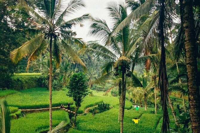 Ubud Temples, Waterfalls, Rice Terraces & Balinese Culture - Price and What You Still Need to Budget For