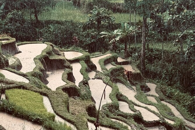 Ubud Top Tours to Discover Bali’s Cultural and Natural Wonders - Key highlights at a glance