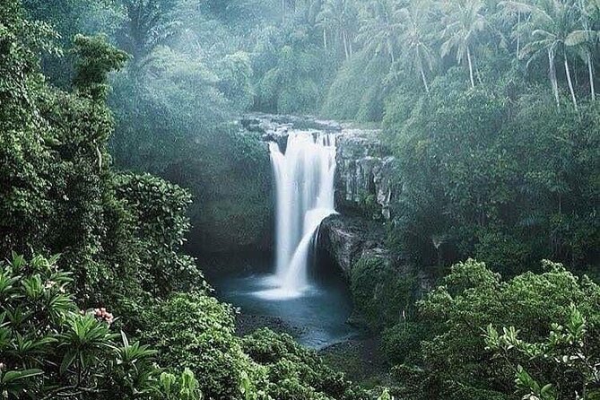 Ubud Top Tours to Discover Bali’s Cultural and Natural Wonders - Sacred Monkey Forest Sanctuary: Ancient Shrines in a Live Playground