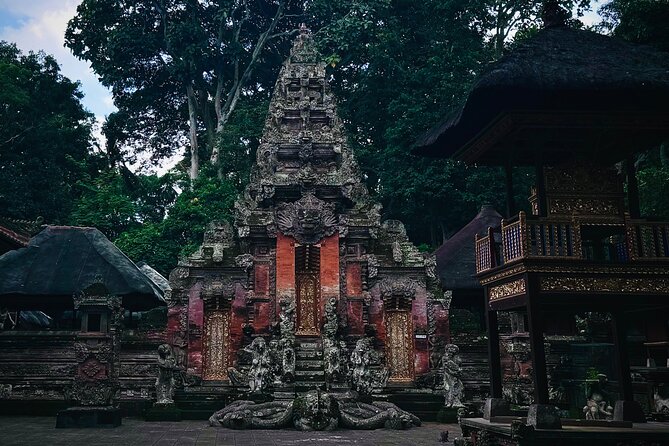 Ubud Top Tours to Discover Bali’s Cultural and Natural Wonders - Pakudui Village and Tegalalang Rice Terraces: The Photo Stop With Purpose