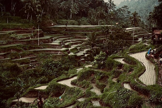 Ubud Top Tours to Discover Bali’s Cultural and Natural Wonders - Bali Traditional House Gung Aji: A 20-Minute Walk Through Old Bali