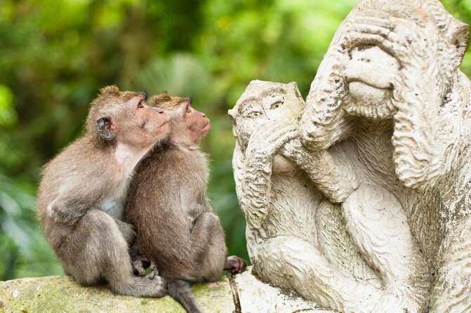 Ubud Tour - Ubud Highlight - Private Tour All inclusive - Key Highlights Worth Planning Around