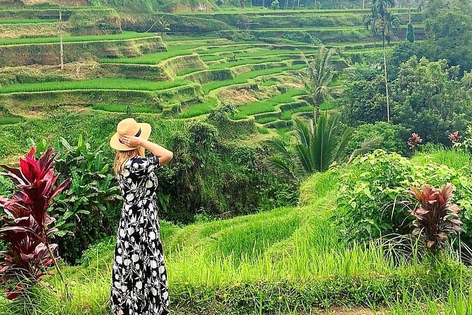 Ubud Tour - Ubud Highlight - Private Tour All inclusive - A Private Ubud Day From Seminyak: The Real Value