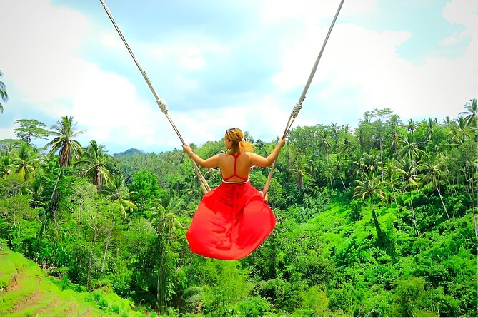 Ubud Tour with Jungle Swing and Waterfall Water Temple - The day’s flow: a full Ubud hit in 8–10 hours