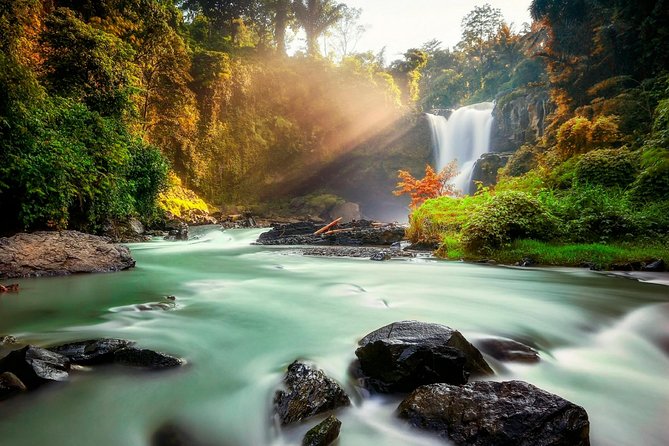 Ubud Village Sightseeing, Famous Paddy Field And Ubud Waterfall - The big picture: a focused Ubud sampler