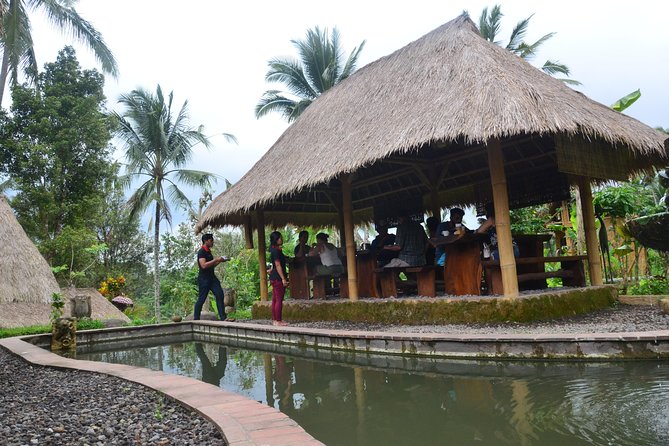 Ubud Village Sightseeing, Famous Paddy Field And Ubud Waterfall - Driver and guidance: what makes it smoother