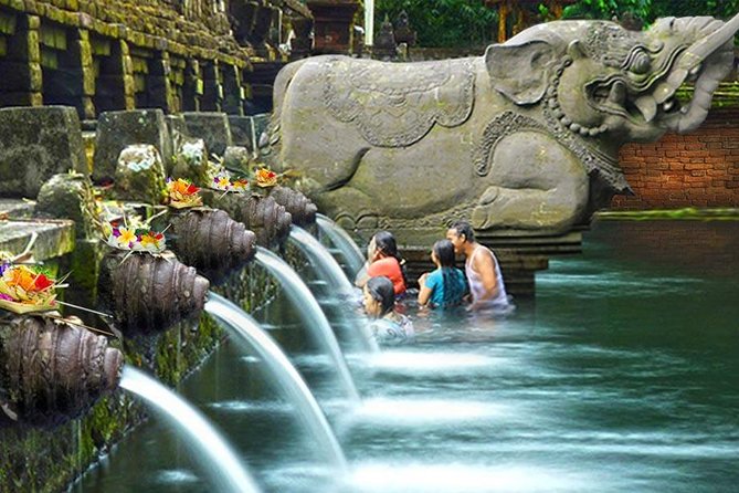 Ubud Village Sightseeing, Famous Paddy Field And Ubud Waterfall - Price and value: what $45 gets you