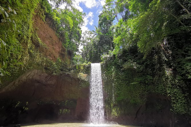 Ubud Village, Tegalalang Rice Terrace Swing, Tirta Empul Temple and Waterfafall - A Ubud circuit that’s strong on variety, not just sights