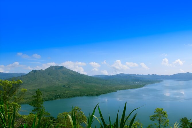 Ubud Village, Waterfall and Kintamani Volcano Tour - Tegalalang Rice Terrace: Terraces With a Story