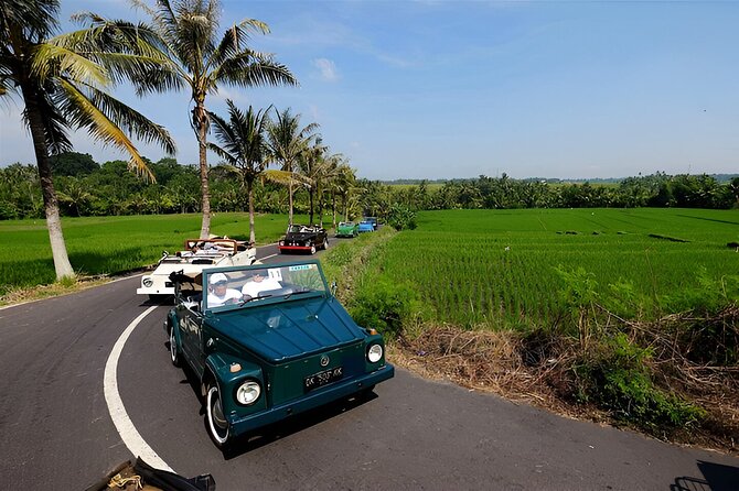 Ubud VW Safari Bali Tour - Volkswagen Classic Car Trip - Quick hits before you go