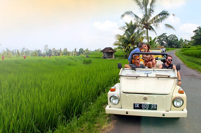 Ubud VW Safari Bali Tour - Volkswagen Classic Car Trip - Stop 3: Goa Gajah (Elephant Cave)—temple history you can actually see