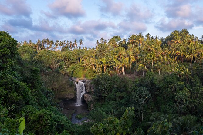 Ubud waterfall, rice terraces, and swing explore - Stop 3: Ubud Jungle Swing and Balinese Coffee Making (Your Adrenaline + Culture Combo)