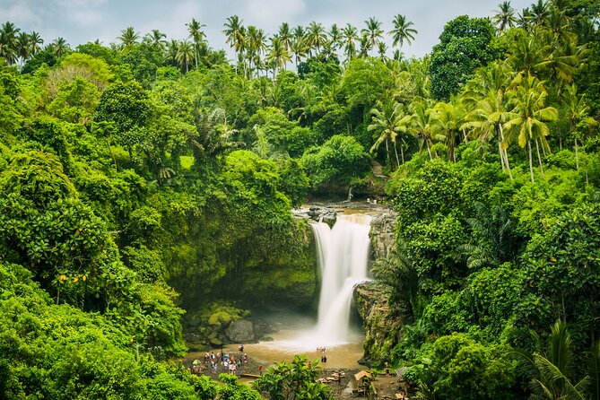 Ubud waterfall, rice terraces, and swing explore - Timing, Energy, and What to Do About Lunch