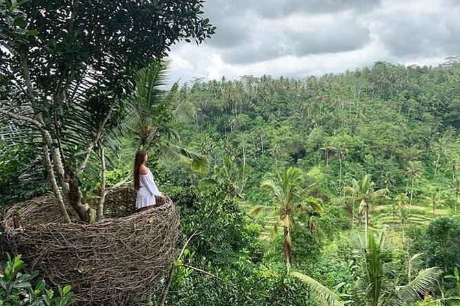 Ubud waterfall, rice terraces, and swing explore - Who This Tour Fits Best (And Who Might Want to Skip It)
